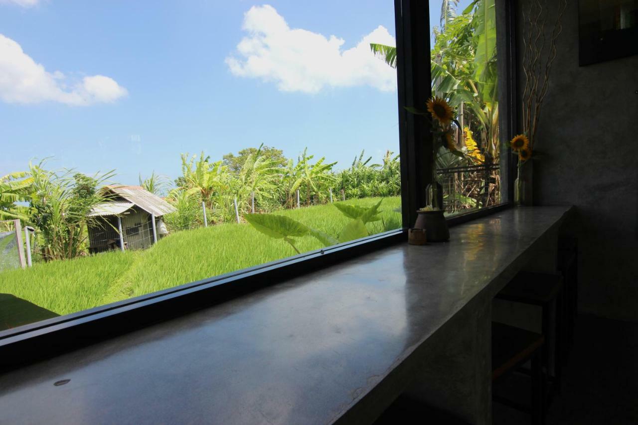De Vir House Leilighet Canggu Eksteriør bilde